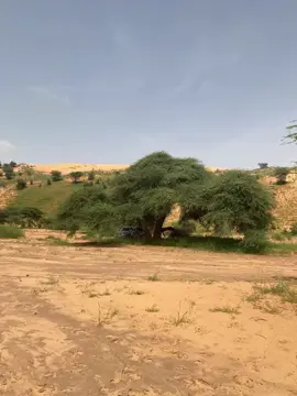 #لحكاي 
