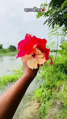 সাতক্ষীরা থেকে কে কে দেখছো সাড়া দাও👀🚩#foryou #foryoupage #viral #mostofa007max #satkhira_bd🇧🇩 @Mostofa___007 @TikTok Bangladesh 