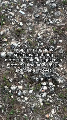 yang di anggap buruk belum tentu buruk#aerox155 #penggunaring17 #fyp #viral #gojorox 