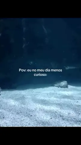 ele bem assim 👁️👄👁️ kkkkkkk #foryoupage❤️❤️#tiktokviral  #engraçado #peixe 