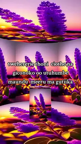 baba, ii twaku honya 🙏🙏tuki nyukithii ikinya riingi tondu nowe ungihota ng'utukinyukithia