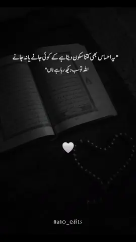 #creatorsearchinsights #fyyppp  #FaithInAllah #islamic_video  dontunderreviewmyvideo#unfreezfypシ 