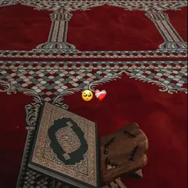 @Q U R A N 🤍 #نبئ_عبادي_أني_أنا_الغفور_الرحيم #اسماعيل_سليم_البخاري #القران_الكريم #quranrecitation #muslimtiktok 