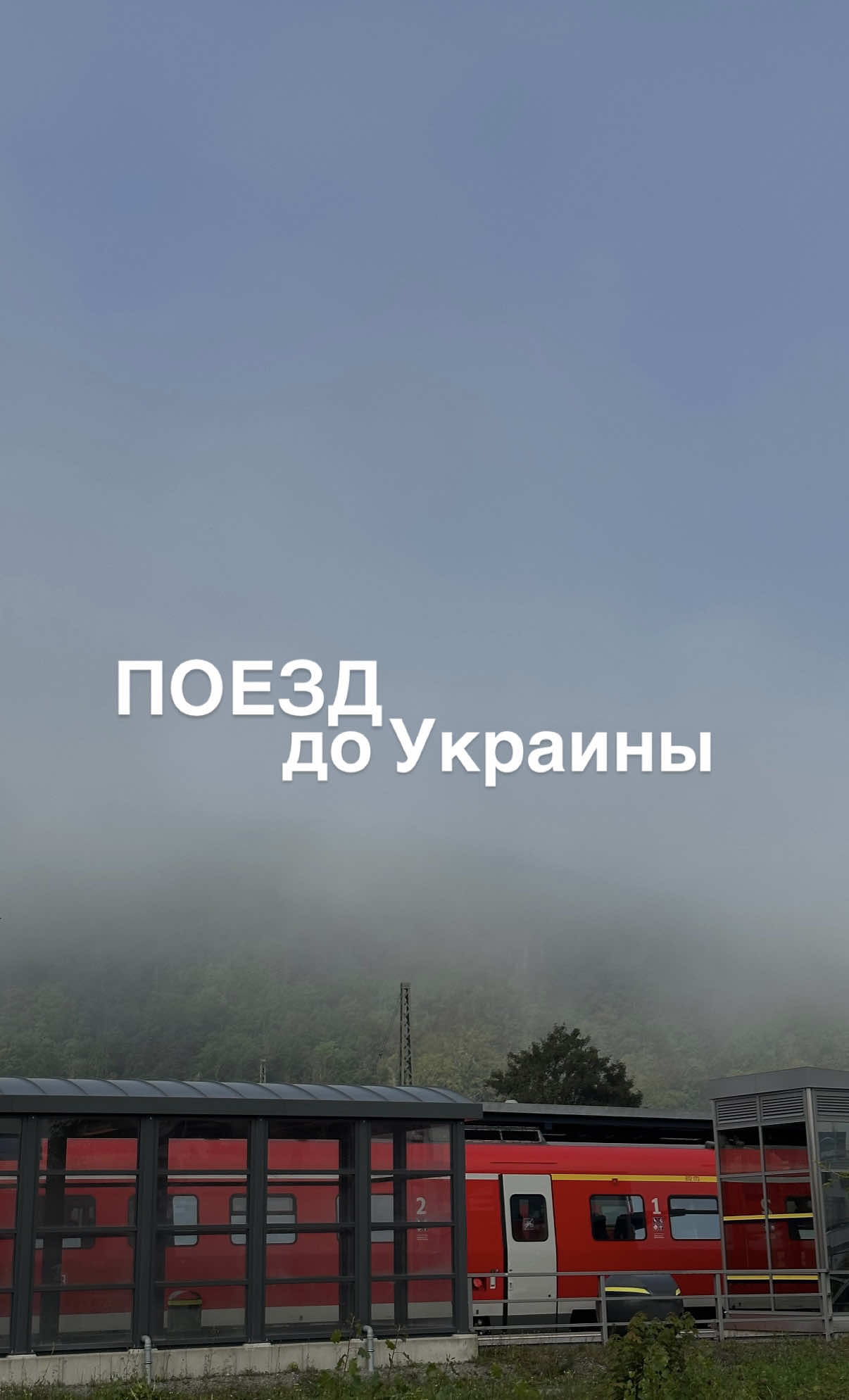 Поезд до дома - снова реальность💙 С декабря 2025 украинцы, живущие в Германии, снова смогут ездить домой на поезде, как до 2020 года🥹 Немецкий Deutsche Bahn и польский Intercity запускают новые маршруты прямо до границы с Украиной: • С Лейпцига - через Вроцлав и Краков - до Перемышля Из Берлина — ночной поезд до Холма (Chetm) — это всего в 25 км от Украины. Время в пути - около 10 часов, без пересадок. Это не просто маршрут — это настоящий мост домой 🏠  Я слежу за этой новостью и обязательно расскажу в своем профиле Инстаграм, как купить билет, когда они появятся🙏🏻 Напиши в комментариях, из какого ты города и куда тебе нужно попасть — постараюсь помочь. • Поделись этим видео с теми, кто тоже мечтает легко ездить домой. #українцівнімеччині #жизньвгермании #поездвУкраину #DB2025 #життязакордоном