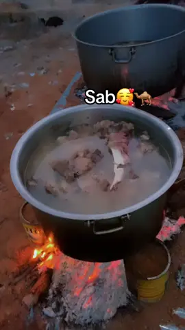####sab Sab🐪😂🤤
