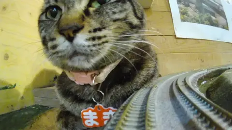 「あなたが守っている命──150匹以上の猫たちの物語」 ジオラマ食堂で暮らす猫たちが今日も安心して過ごせるのは、あなたの存在のおかげです。 ご寄付一つひとつが、彼らのごはんや医療、温かい居場所へと変わり、命を支えています。 この施設を守っているのは、間違いなく“あなた”です。150匹以上の猫たちの未来は、あなたに託されています。 👉 ご支援はこちらから: https://www.paypal.com/paypalme/diocat “You Are the Reason Over 150 Cats Are Safe” English Description Every purr, every playful moment on the diorama exists because of you. Your support is the lifeline that protects these shelter cats—providing food, medicine, and hope. Here at Diorama Shokudo, over 150 cats are alive today because of people like you. 👉 Help us continue this mission: https://www.paypal.com/paypalme/diocat #ProtectCats #SupportShelterCats #DioramaCats #CatCafeOsaka #AnimalWelfare     
