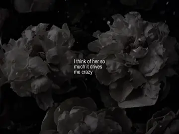 dark red // #song #музыка #текстпесни #darkred #avry832 