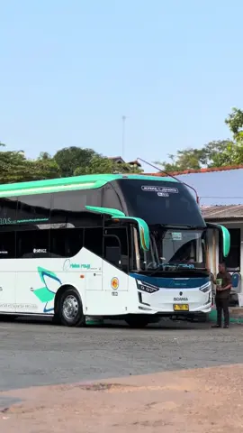 Cuman BUS FOMO😛🤙🏻🦋  #mariposa #rimbarayapremium #busmalam #akap #fyp 