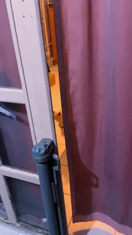 La que no quería anímales 🤪🤪🥰🥰#fyp #animals #funnyvideos #puppiesoftiktok #roadto10k 