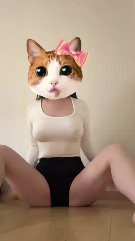 2탄