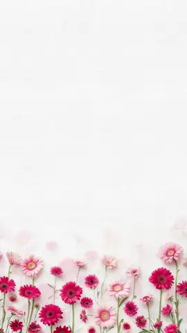بشارة بيبي نايا💕#بشارة_مواليد #اكسبلور #دعوات_الكترونيه 