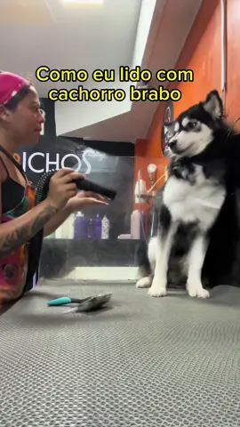 Te amo Penny❤️Tbt #cachorro #petshop #viral #fyp 