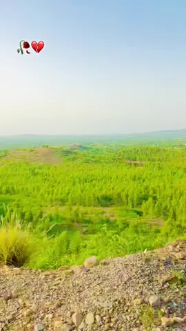 #Foryou#Viral#ViDeos@UmEr Afd🏴 کنڈوا ۱۰۹🏴 @P T M🏳🏳🏳JANAN🏳🏳👈 🥀دکلی مازیگر🥀