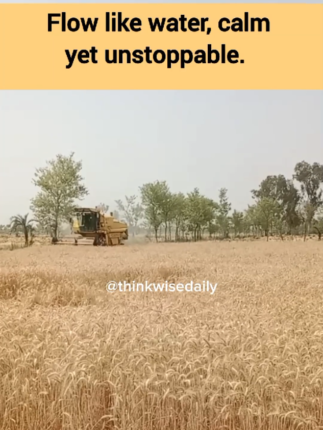 motivationnal quotes  #viralvideo #thinkwisedaily #fyp #foryou #foryoupage 