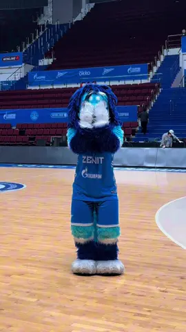 Угадайте куда делись блестяшки?😄 #mascot #basketball #dance #fursuit #cheerleading 