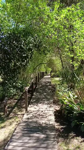 Tomás la lancha, bajas en el muelle y una pasarela de cuentos te lleva directo al paraíso!!! 🏡 . Te esperamos! 🙌🏼 . . . #deltadelparana #isla #cabañasenalquiler #rio #isladeldelta 