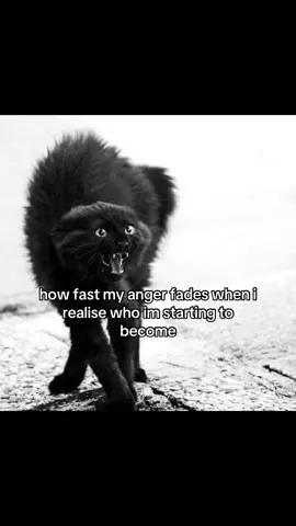 i hate angry people yet anger is all i feel #fyp #relateable #vent #MentalHealth #anger 