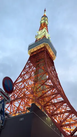 Pengalaman hingga top deck ketinggian 250m dan melihat pemandangan tokyo dari salah satu ikon tertinggi merupakan hal yang sangat luar biasa. #tokyotower🗼 #topdecktokyotower #nightview #tokyocity #tokyonight 