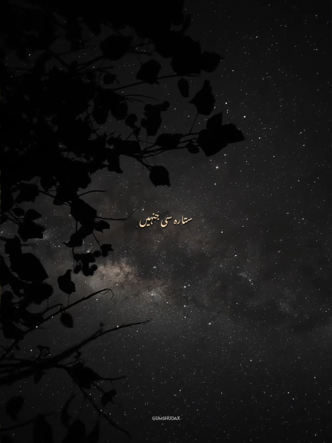 The ones he call stars are none other than his eyes, carrying a glow that outshines even the heavens and leaves me lost in their endless depth. The ones he call branches are his arms, where strength and gentleness meet, the place where the whole world feels safe. And the ones he call flowers are his words, each one unfolding with a fragrance that lingers in my soul, delicate yet powerful enough to change everything within me. He is not just a part of beauty he is its very definition, for in him I find the light of stars, the grace of branches, and the tenderness of flowers, all woven together into the person I love. 🫀✨ - Kaho aik din | Slowed Reverb | Without Music | Vocals | Status | Lyrics  - #donotunderreview #foryoupage #unfreezemyaccount #fyp #foryou 