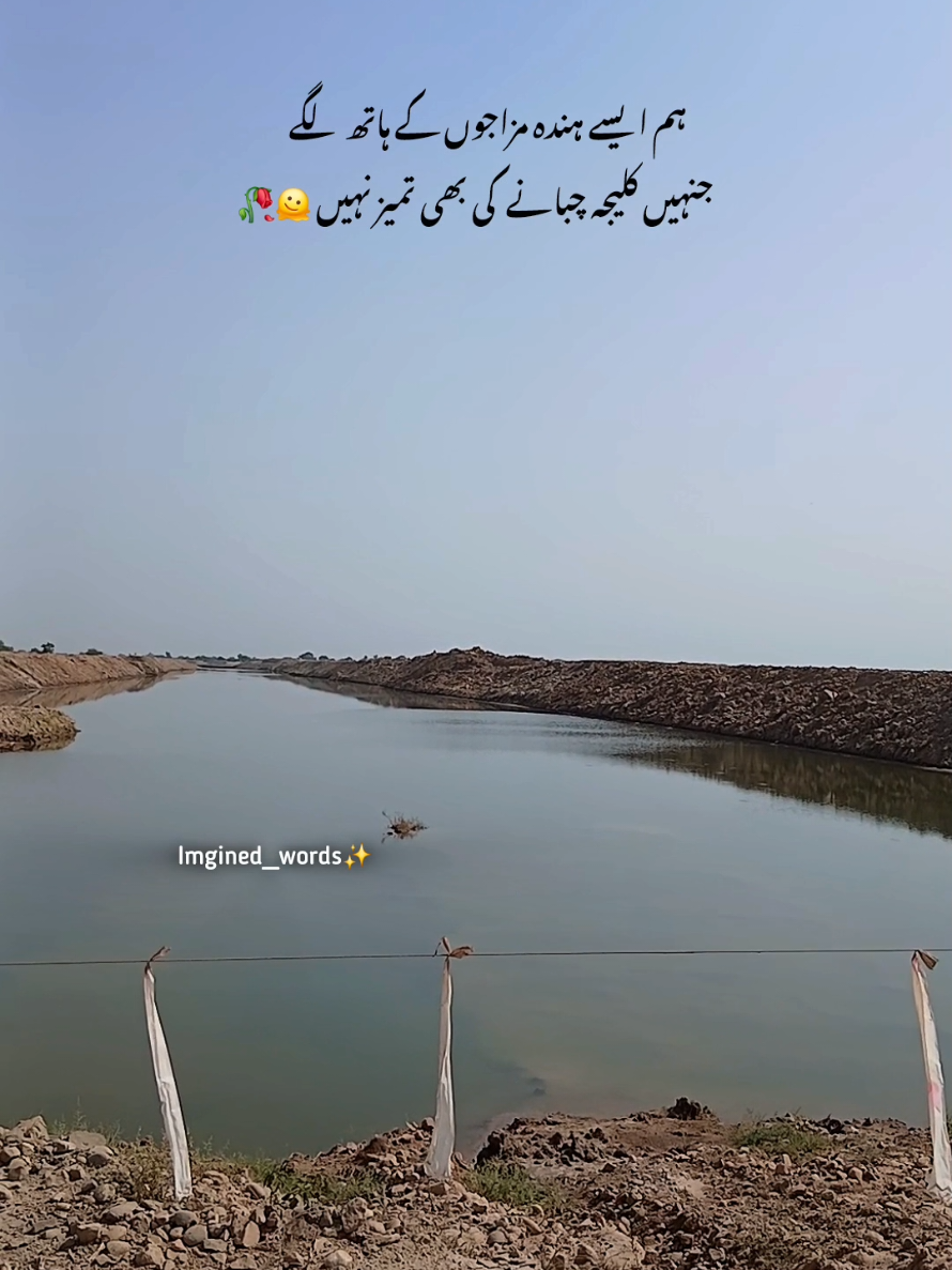 I'm Sad 😢  #urdupoetry #viralvideo #Foryou #imaginedwords 