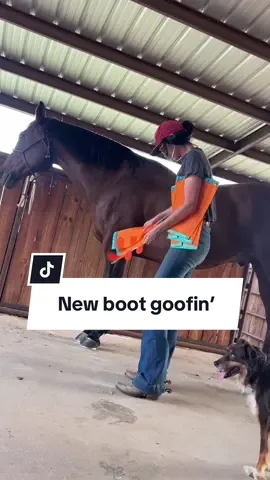 Do yourself a favor and get some quality fly boots. Your horse (and farrier) will thank you.  #harrisonhowardequestrian #flyboots #teamroping #tiktokshop #tiktokshopfinds 