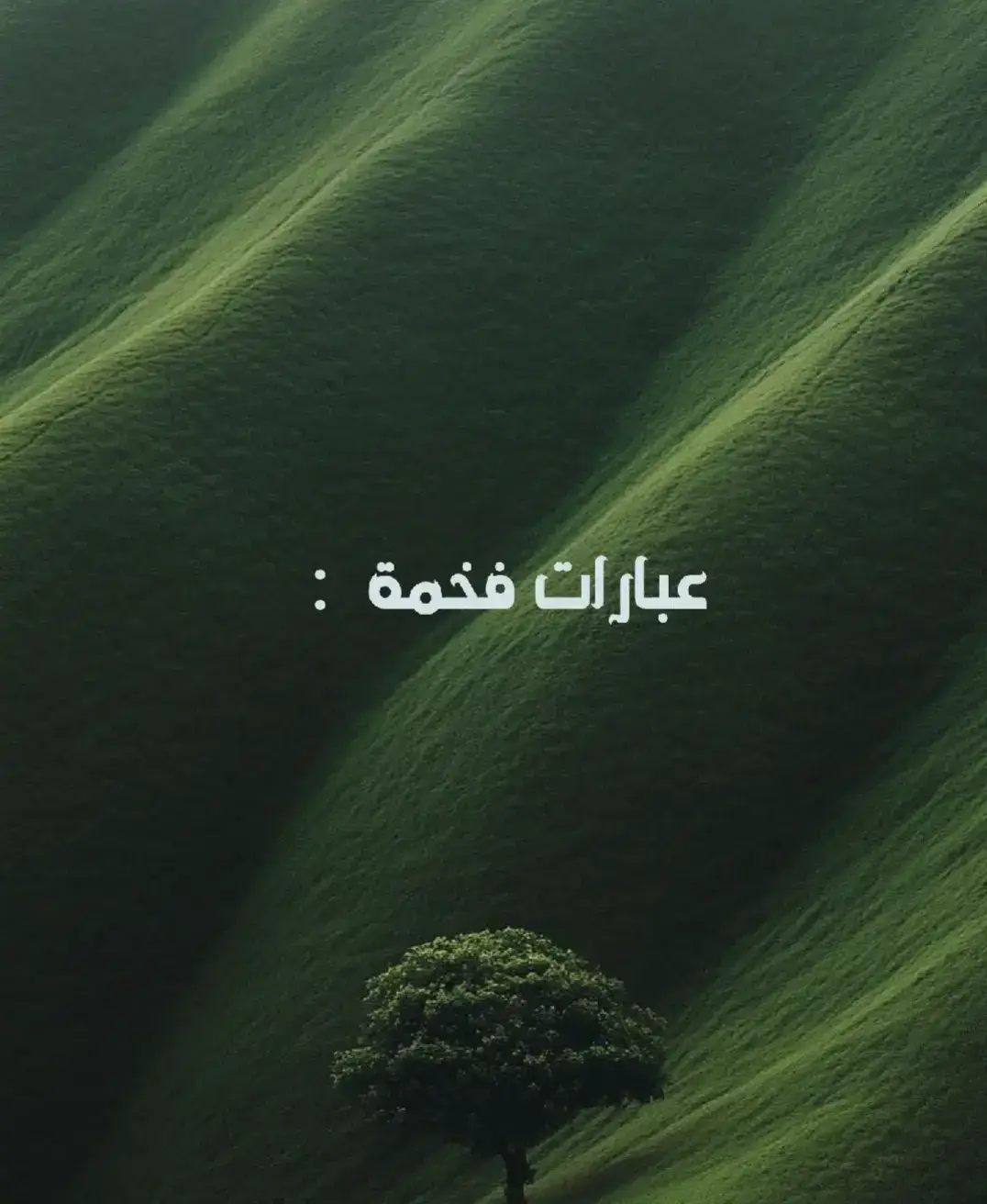 #اقتباسات_عبارات_خواطر🖤🦋❤️ #عبارتكم_فخمة🖤💉🥀 #حزن💔💤ء #عبارات_جميلة_وقويه😉🖤 #عباراتكم_الفخمه📿📌 
