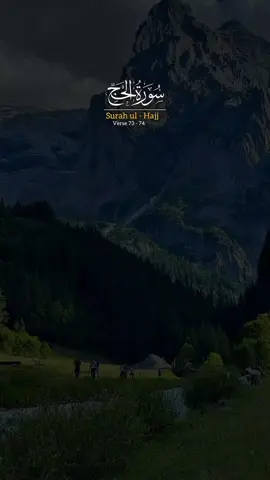 #CapCut 