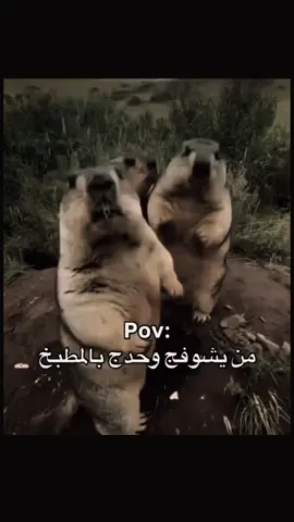 😂😂😂😂😂😂