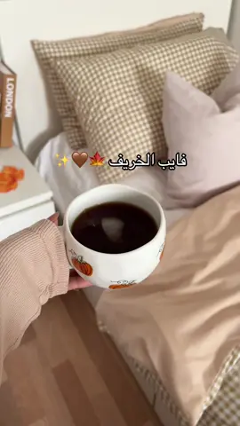 @فوزان ريست | Fawzan rest ايشش رايكم بفايب الخريف 🍁🤎 ؟؟؟ #مالي_خلق_احط_هاشتاقات🦦 #الشتاء_البرد_اجواء_شتويه #الصين_ماله_حل😂 