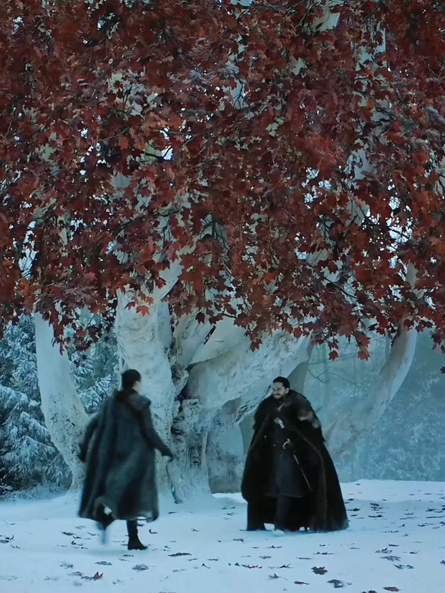 #aryastark #اريا_ستارك #jonsnow #جون_سنو #gamofthrones #fyp #foryou #viral #tiktok #fyp