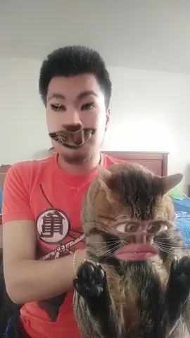 Isma y Sonic cambian de caras #ismael #gato #cambiacaras 