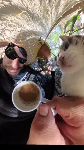 he wants me coffee