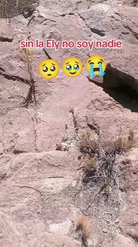 @Ely _Dias❤️🕷️🕸️😊🚛 🥹🥹😁😁😁😂