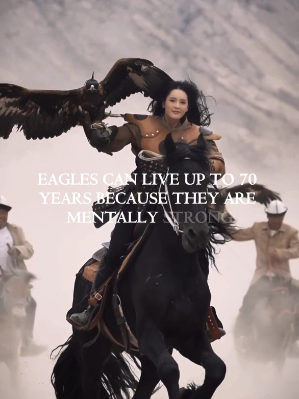 How an Eagle Teaches us about the change... #3am #asthetics #education #survival #eagle 