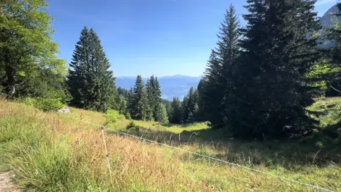 #141 #nature #fyp #based #swissalps 