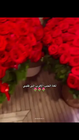 لغة الحب الأقرب إلى قلبي ♥️