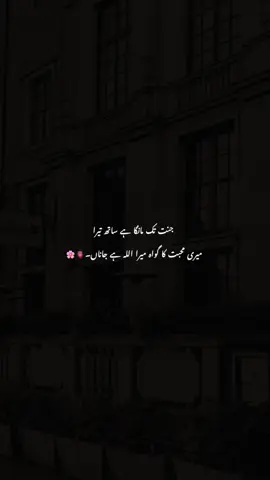 جنت تک مانگا ہے ساتھ تیرا  میری محبت کا گواہ میرا اللہ ہے جاناں۔🫀🌸 #urdupoetry  #viralvideo  #unfrezzmyaccount  #growmyaccount  #urdupoetry_740 