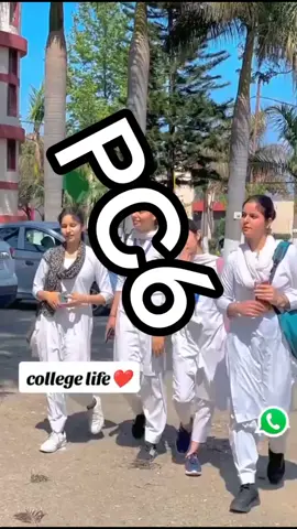 pc6