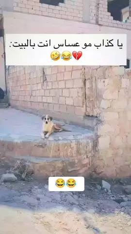 منشله سريع 🤣🤣#fyp #pov 