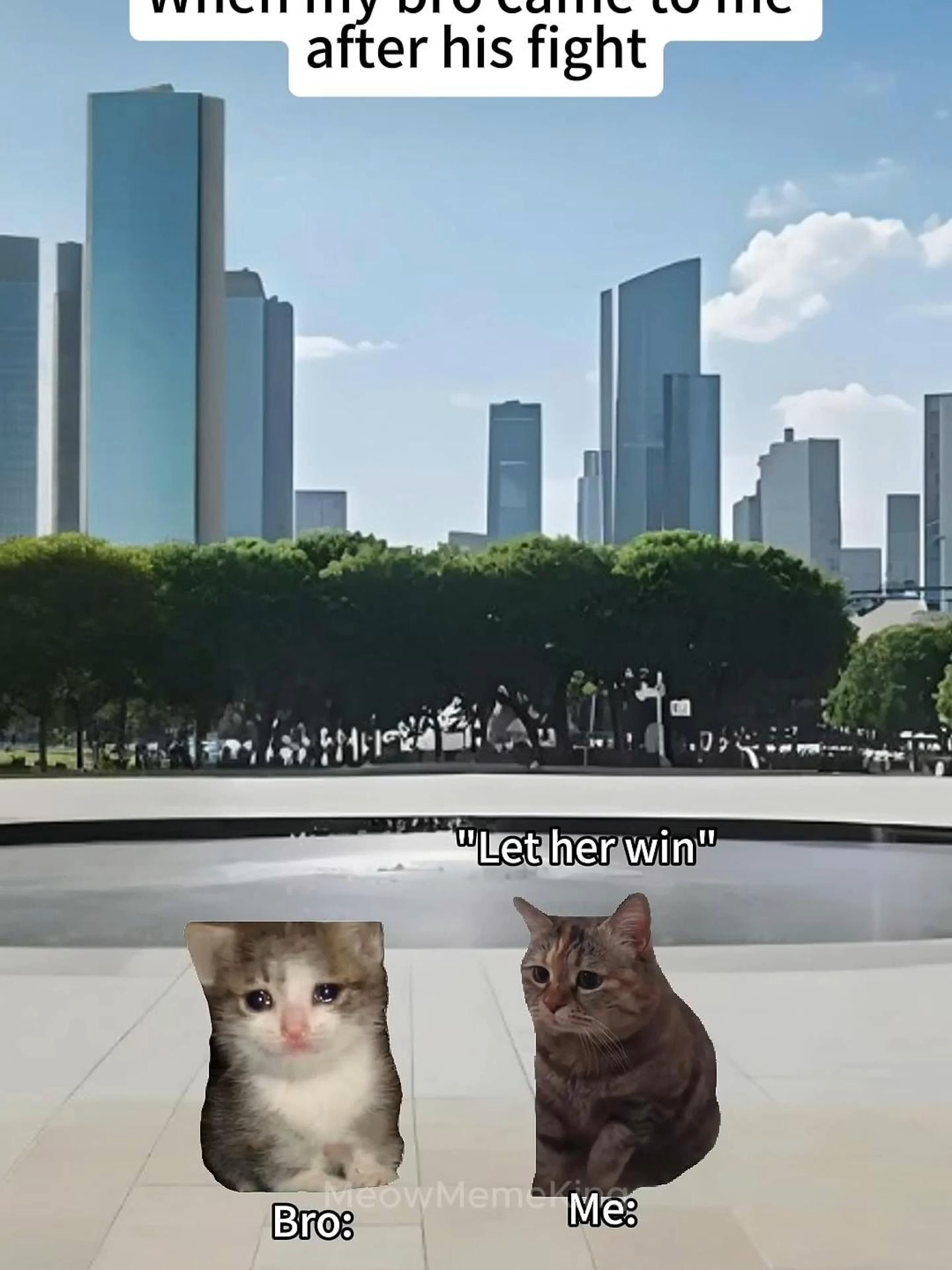 Cat Memes When my bro came to me after his fight #CatMemes #realatable #tiktokmemes #pov #brother #CatsOfTikTok