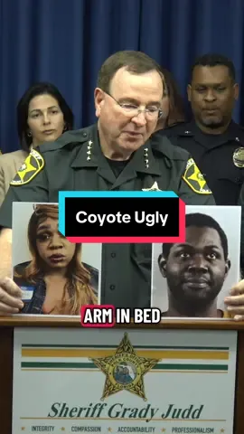 Sheriff Judd explains “Coyote Ugly” during our FAFO-Again news conference. IYKYK #polksheriff #gradyjudd #fafo #newsclip 