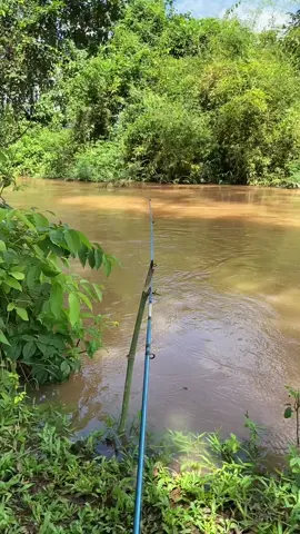 #เทรนด์วันนี้ #🎣🎣🎣 #ย่าปิดการมองเห็นผมน่ะ #ฟีดดดดดดดดดด🥺 #ຊິດເບັດໝາຍເກົ່າໝາຍເດີ່ມ 