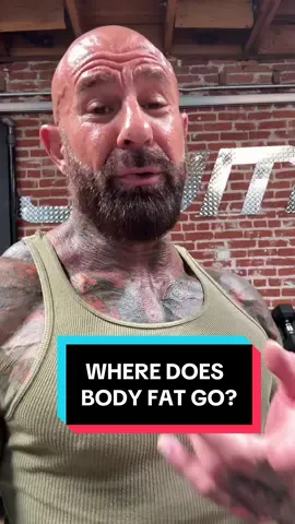 Research shows exactly where #bodyfat goes when you #losefat - #fatloss #weightloss #fyp