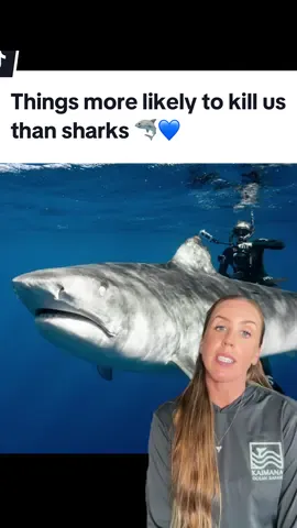 Sharks are certainly potentially dangerous apex predators, but your chances of being killed by sharks are extremely low. Still, the media often portrays them in a very negative light when something bad happens. Those instances are tragic of course but it’s worth mentioning how rare it is. Enjoy this little reality check of things that are more likely to kill us than sharks. 🦈💙 #savesharks #sharkdiver #sharkdiving #ocean #swimwithsharks 