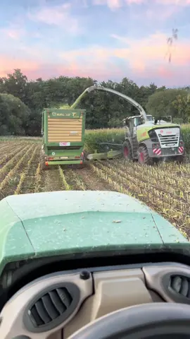 🌽2025 #fendt #mais #claas #claasjaguar #ernte 
