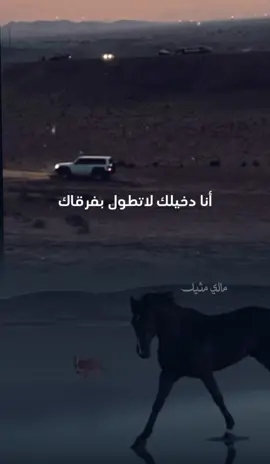 انا دخيلك لاتطول بفرقاك  #محمد_عبده #اكسلبورر_explore #اغاني #tiktok #مالي_مثيل❤❤ 