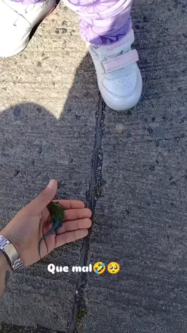 🤣❤️