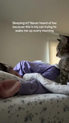 #cat #catonaleash #catsoftiktok 
