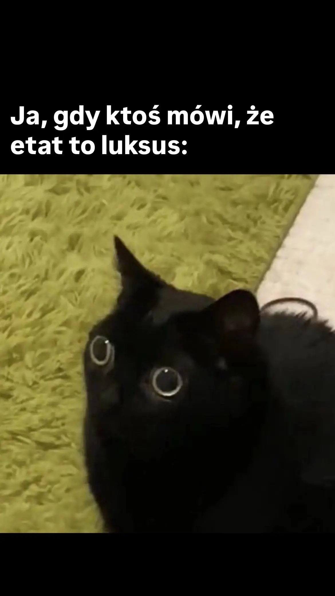#etat #luksus #praca #zatrudnienie 