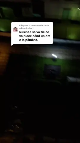 Ca răspuns pentru @adinaniculae1 
